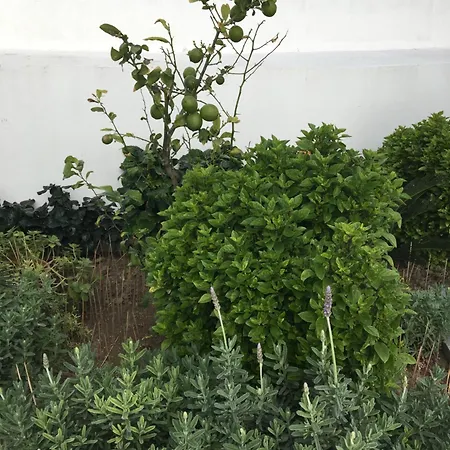דירה Emerald Cozy עיר רודוס