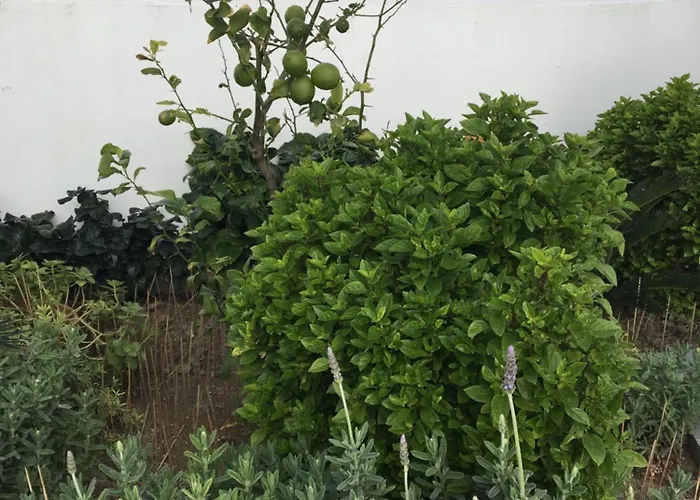 شقة Emerald Cozy Rhodes City